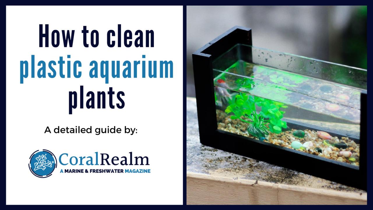 How to sterilize aquarium plants