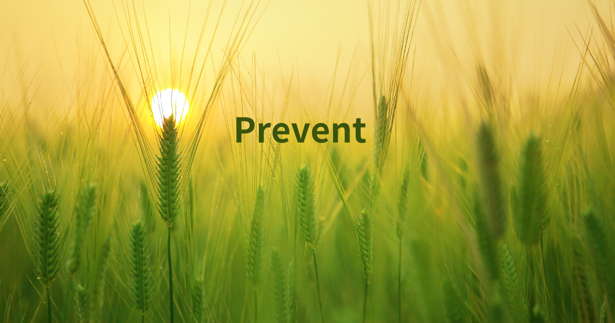 How to prevent food poisoning - Da Nang Today - News - eNewspaper