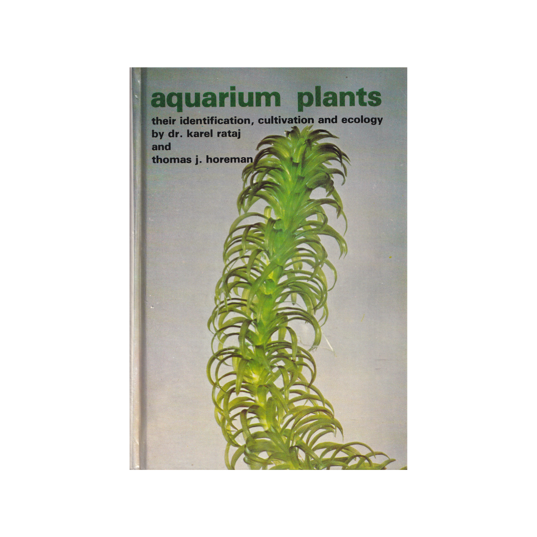 Aquarium Plants Identification : r/PlantIdentification Aquarium Plants Identification : r/PlantIdentification