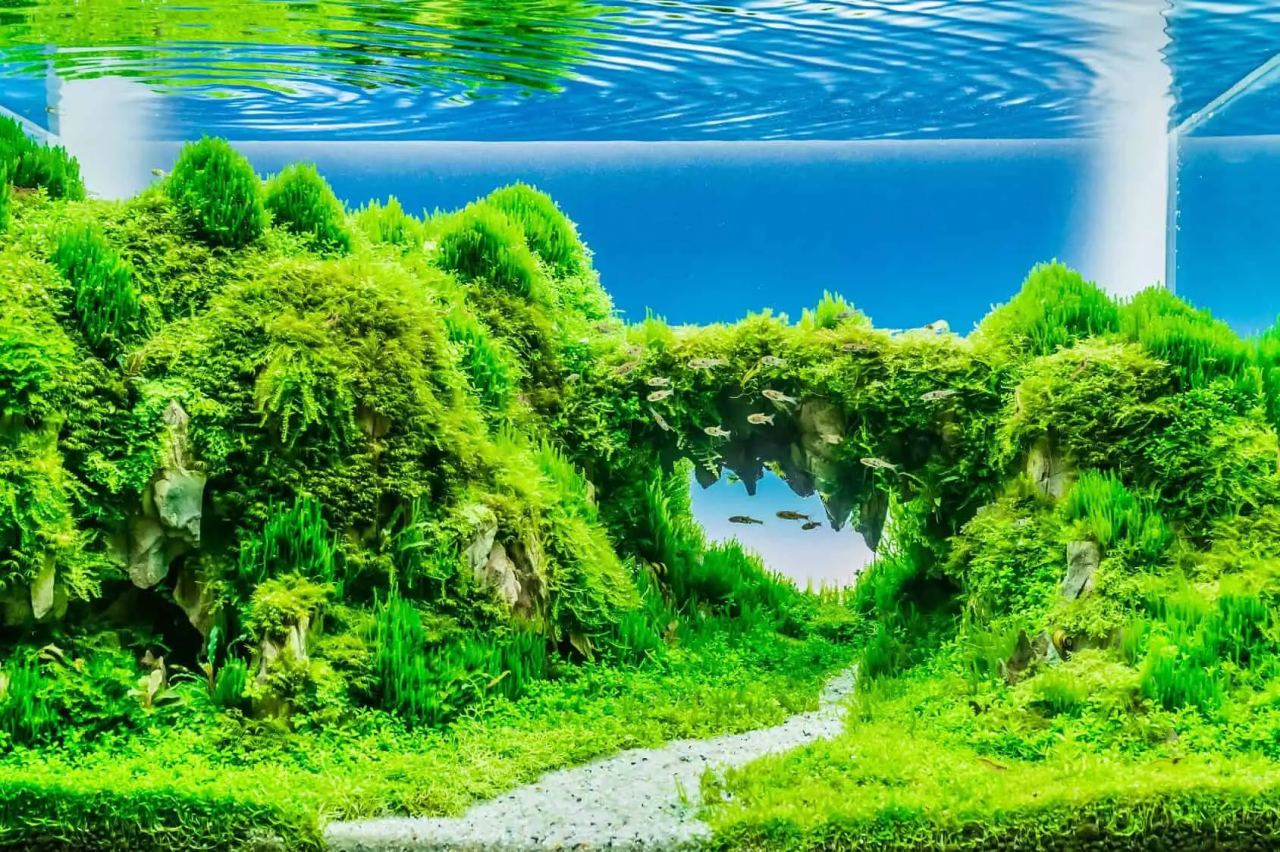 Aquatic Eden: Mastering the Perfect Planted Aquarium Setup