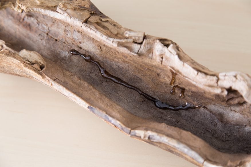 How To Use Driftwood In The Garden – Driftwood Academy How To Use Driftwood In The Garden – Driftwood Academy