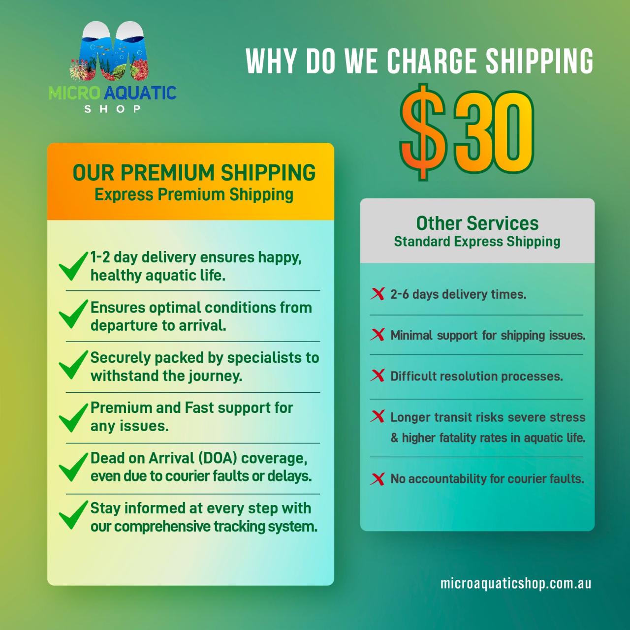 How to Create a Beautiful Aquascape - An Easy Guide – Micro Aquatic Shop