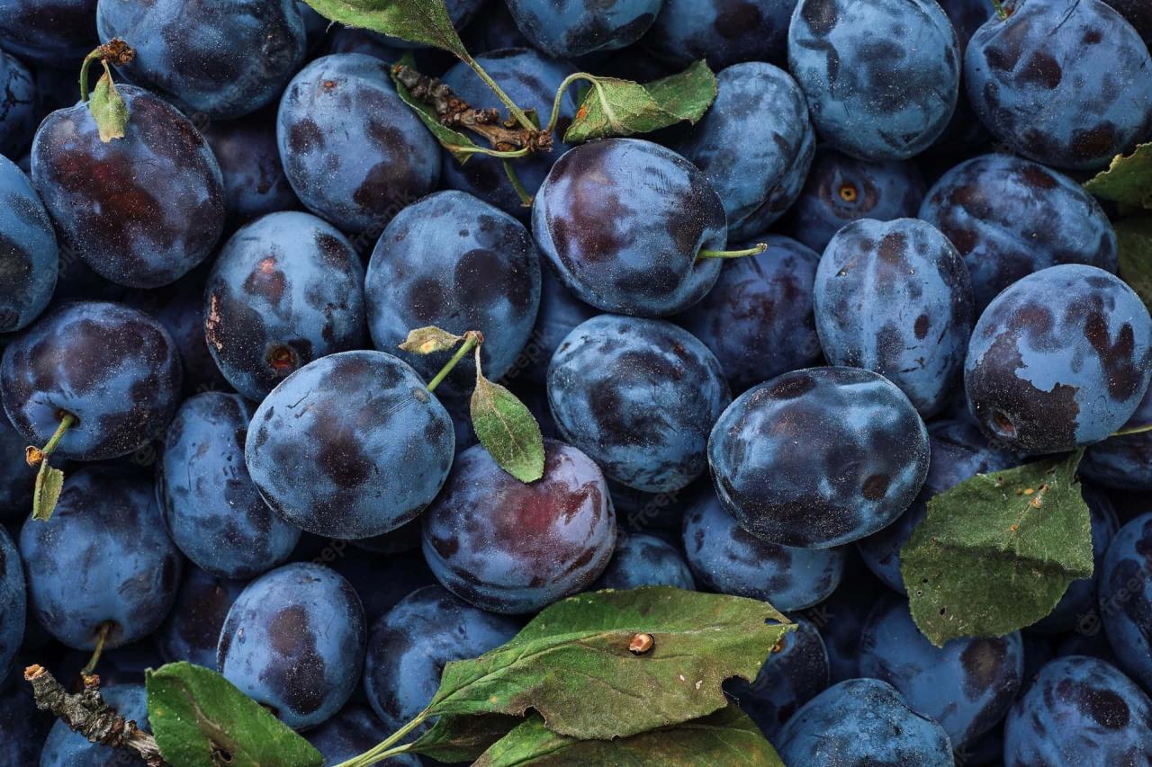 Download Italian Prune Plum Blue Indigo Fruits Wallpaper | Wallpapers.com