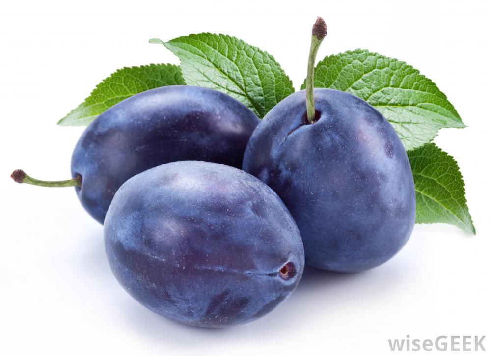 Prune - Barmac Pty Ltd