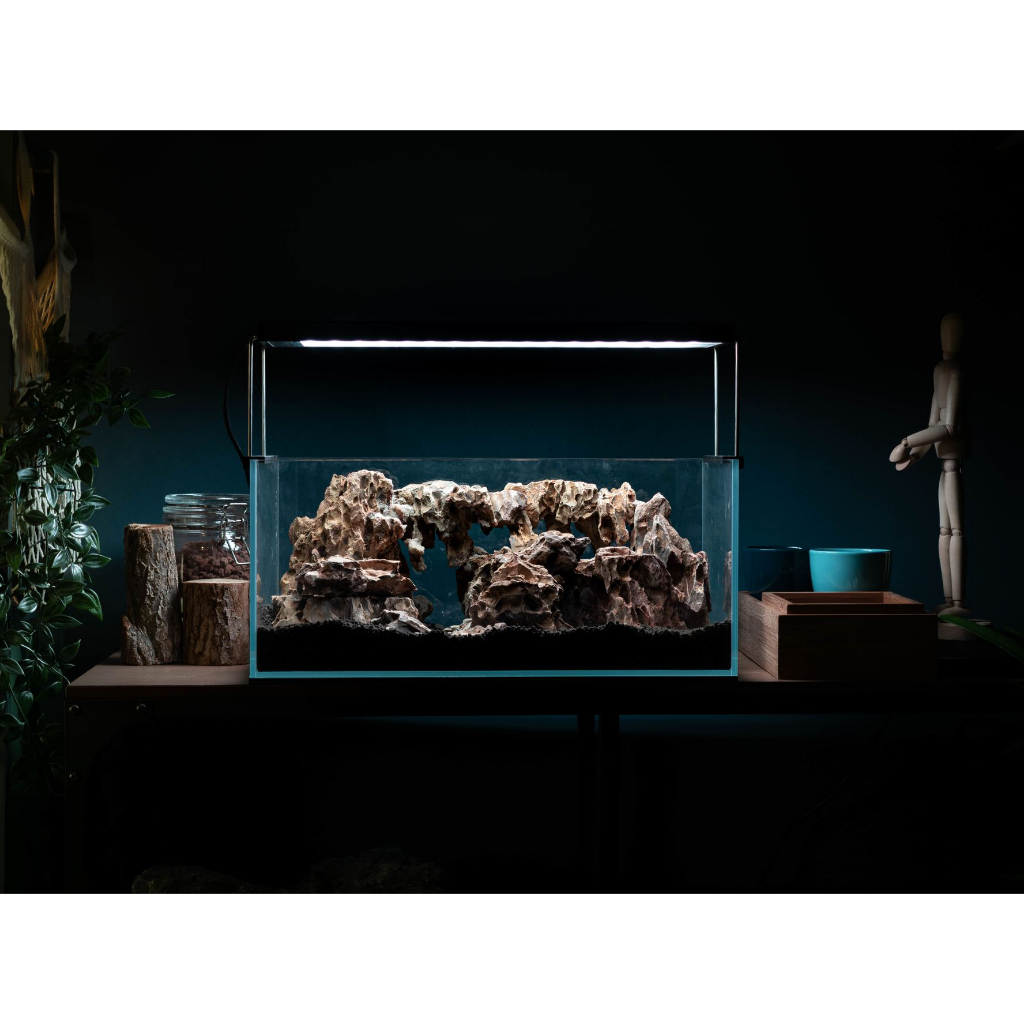 My First Iwagumi Aquascape Journal