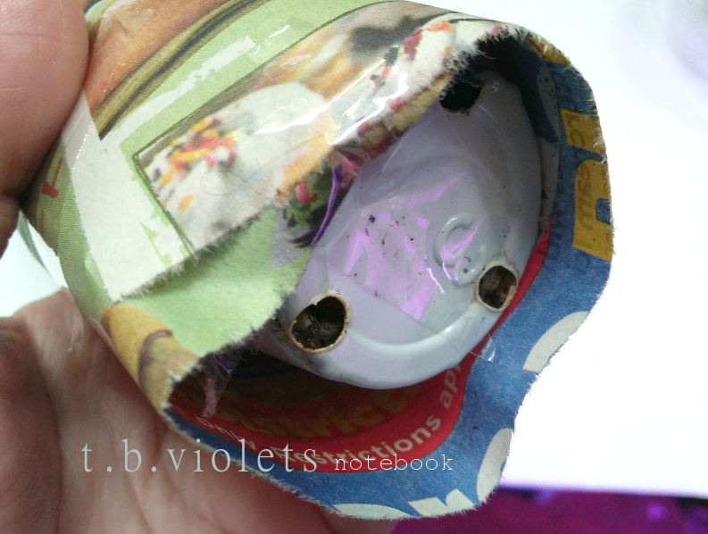 How To Pack a Plant for Shipping